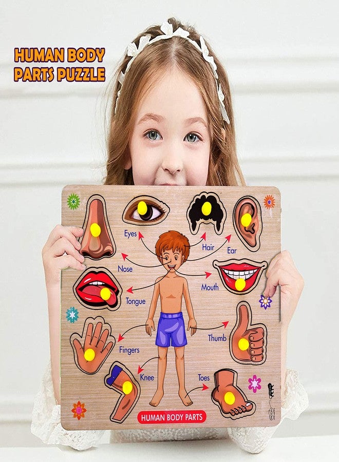 HIGHROOF® Kids Fort Pre Nursery Educational Jigsaw Puzzles for Adults Kids Learning Toys Kit Board Game 3 pcs Set of Birds Human Body Parts & Sea Animals Educational Toy - Image 2